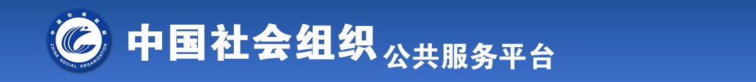 肥逼综合网全国社会组织信息查询